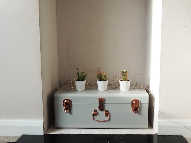 Cacti in fireplace