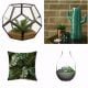 Amara terrarium - george home terrarium - George Home Botanical Cactus - charlotte jade Hybrid Flora Velvet Cushion