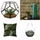 Amara terrarium - george home terrarium - George Home Botanical Cactus - charlotte jade Hybrid Flora Velvet Cushion