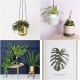 Ivoire Brass Plantholder - Mia Fleur - Hanging Ceramic Plant Pots - jd williams leave print