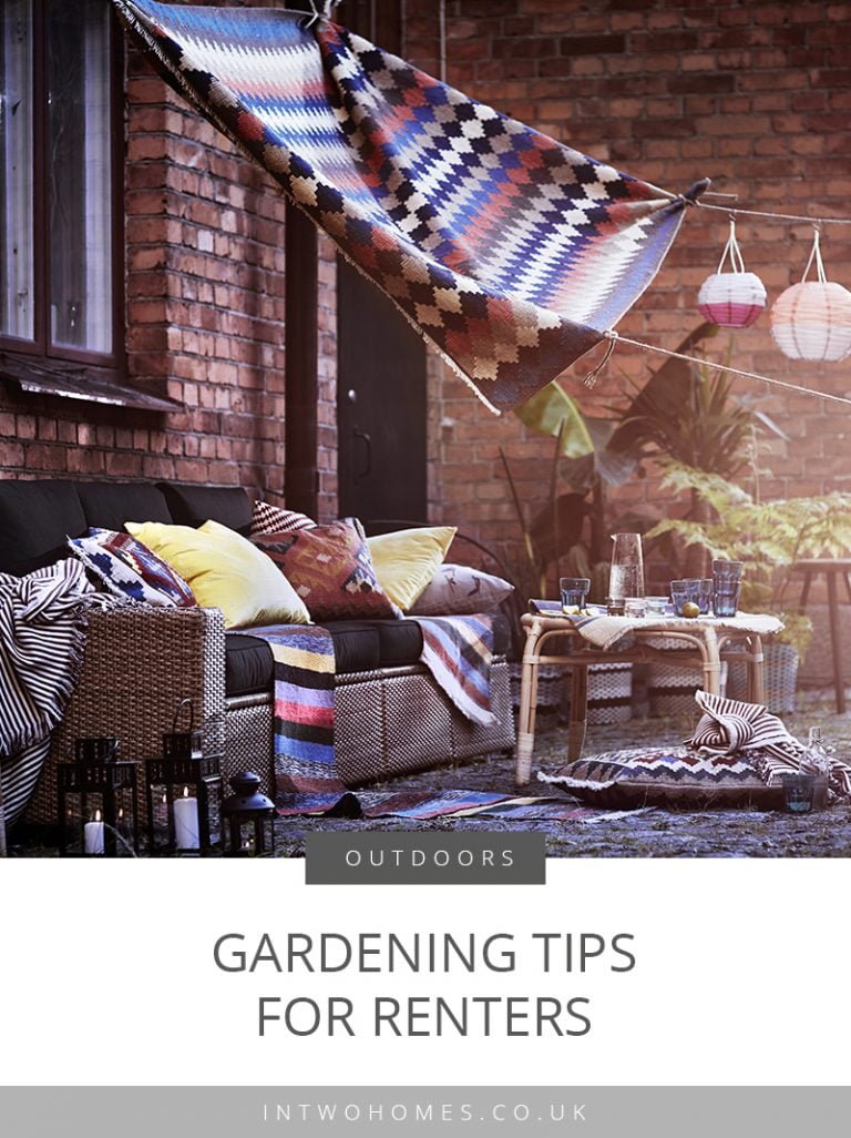 6 Top Gardening Tips for Renters Garden Ideas In Two Homes