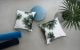 Handpicked by Kate Twilight palm £50, and velvet bolster cushions £40 lifestyle