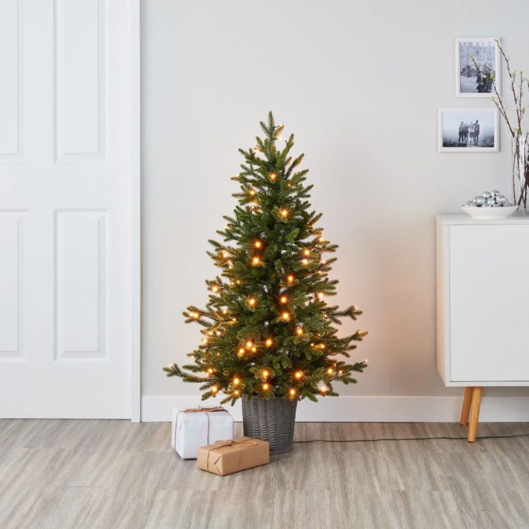 Small natural Christmas tree in pot