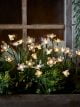 Flower Bee and Butterfly solar stake lights offering a warm glow amongst plants