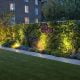 Garden spotlights lighting up green wall