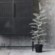 Realistic small snow-covered Christmas tree from Folk Interiors.