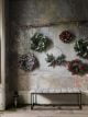 Christmas wreaths hanging on wall