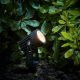 Black metal solar spotlight lights to shine on foliage and footpaths.