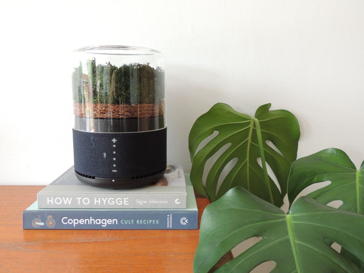 Briiv Air Purifier Review EcoFriendly Air Purifier In Two Homes