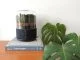 Briiv eco-friendly air purifier with it's distinctive cylinder shape, black bio plastic at the bottom and a glass on top filled with moss.