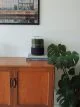 Briiv Air Purifier on a sideboard beside a monstera deliciousa house plant.