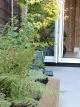 Long outdoor raised plant beds with ferns.