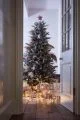 Snowy blue spruce Christmas tree with pampas grass.