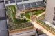 Rooftop garden between two residential buildings.