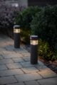 The image shows two poles with solar-powered lights on a brick sidewalk. The poles are made of metal and have a cylindrical shape. The lights are small, round, and white. The image is set outdoors, and the background is a garden with trees and flowers.