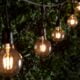 The image shows a string of light bulbs hanging from a wire in a garden at night. The light bulbs are white and are evenly spaced along the wire. The wire is strung between two trees, and the light bulbs are casting a soft glow on the trees and the ground below.