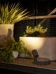 The image shows a table with a potted plant and a solar light. The solar light is a small, round light that is mounted on the table. The image is set outdoors, and the background is a garden with trees and flowers.