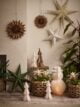 Large paper Christmas stars, paper pop-up trees and plants from Dobbies.